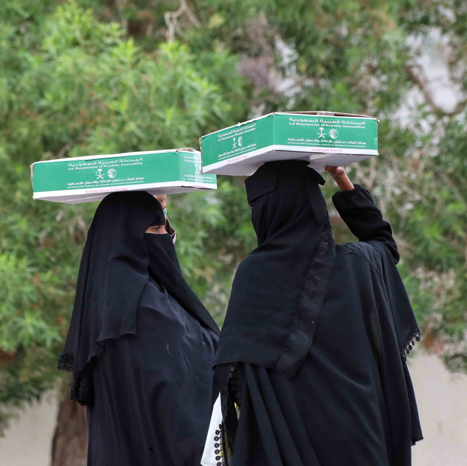 صورة من المعرض 6