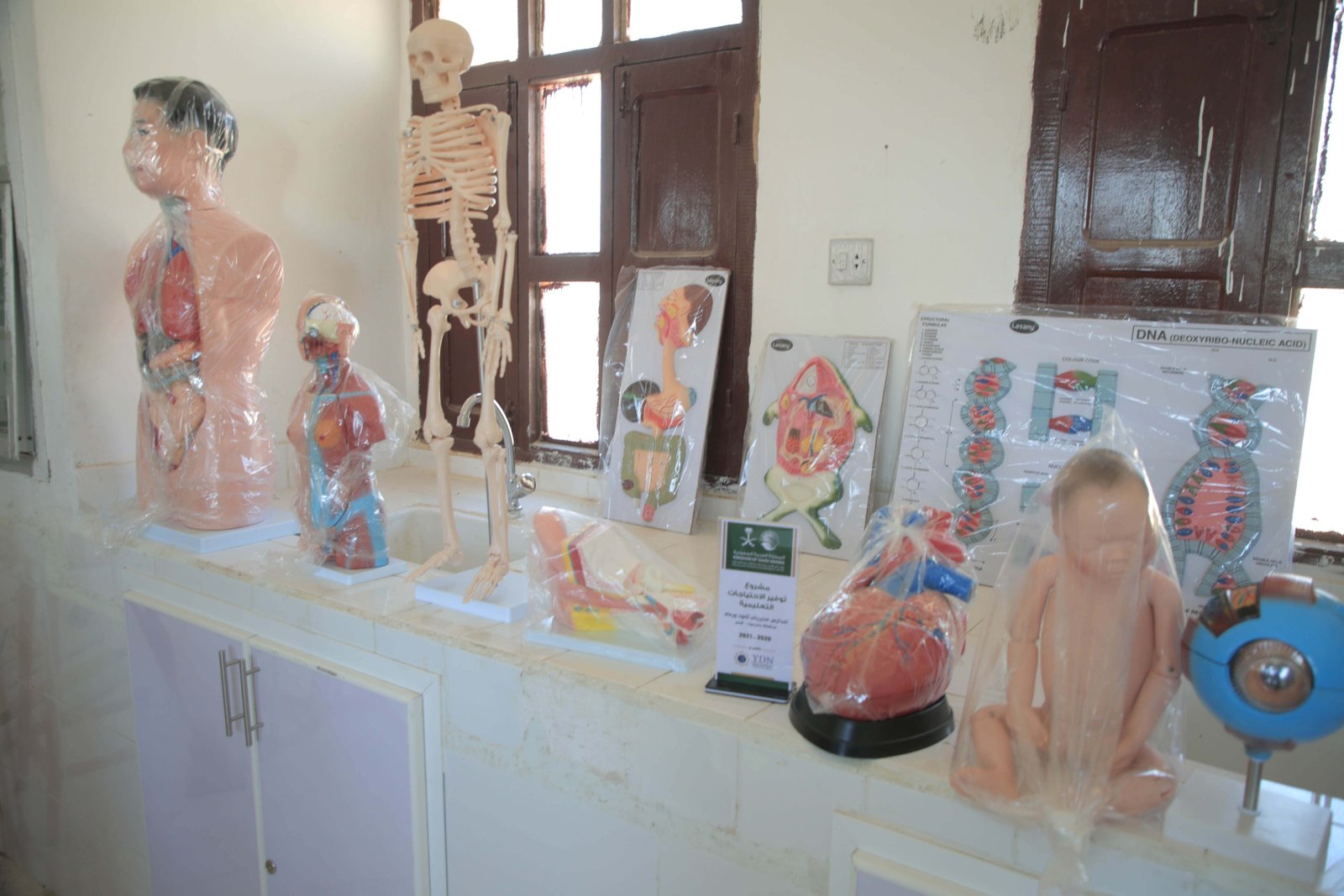 صورة من المعرض 17