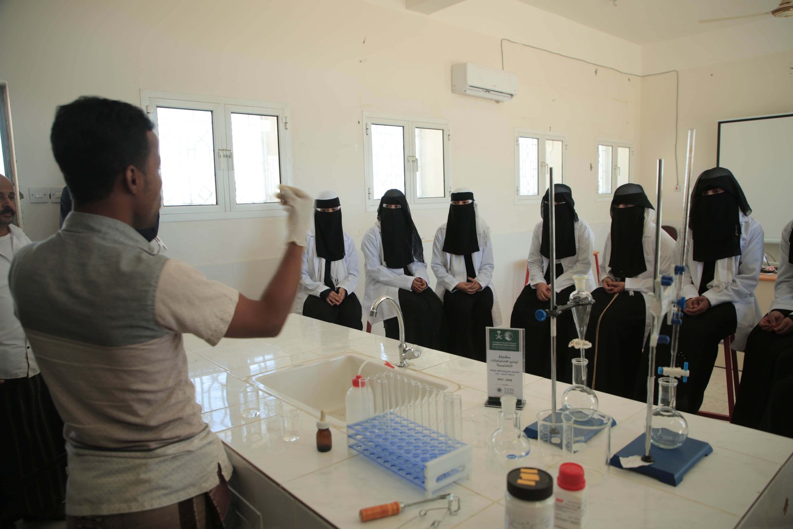 صورة من المعرض 13