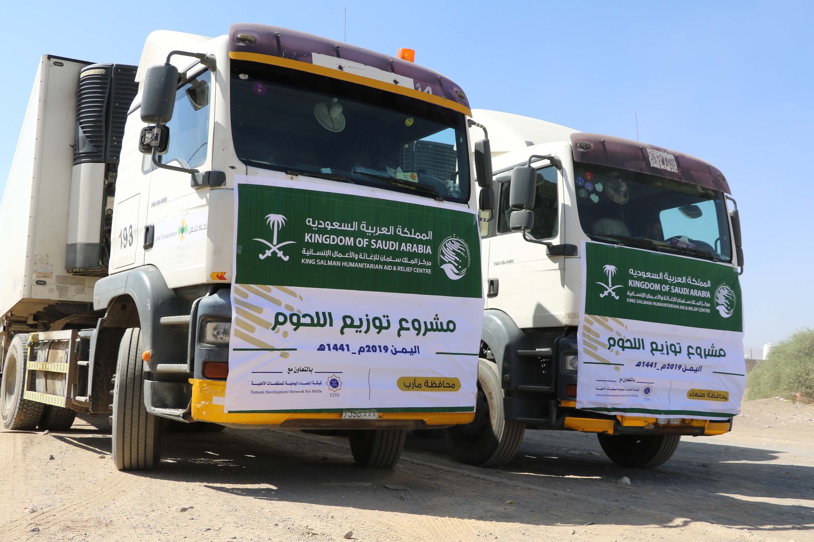 صورة من المعرض 11