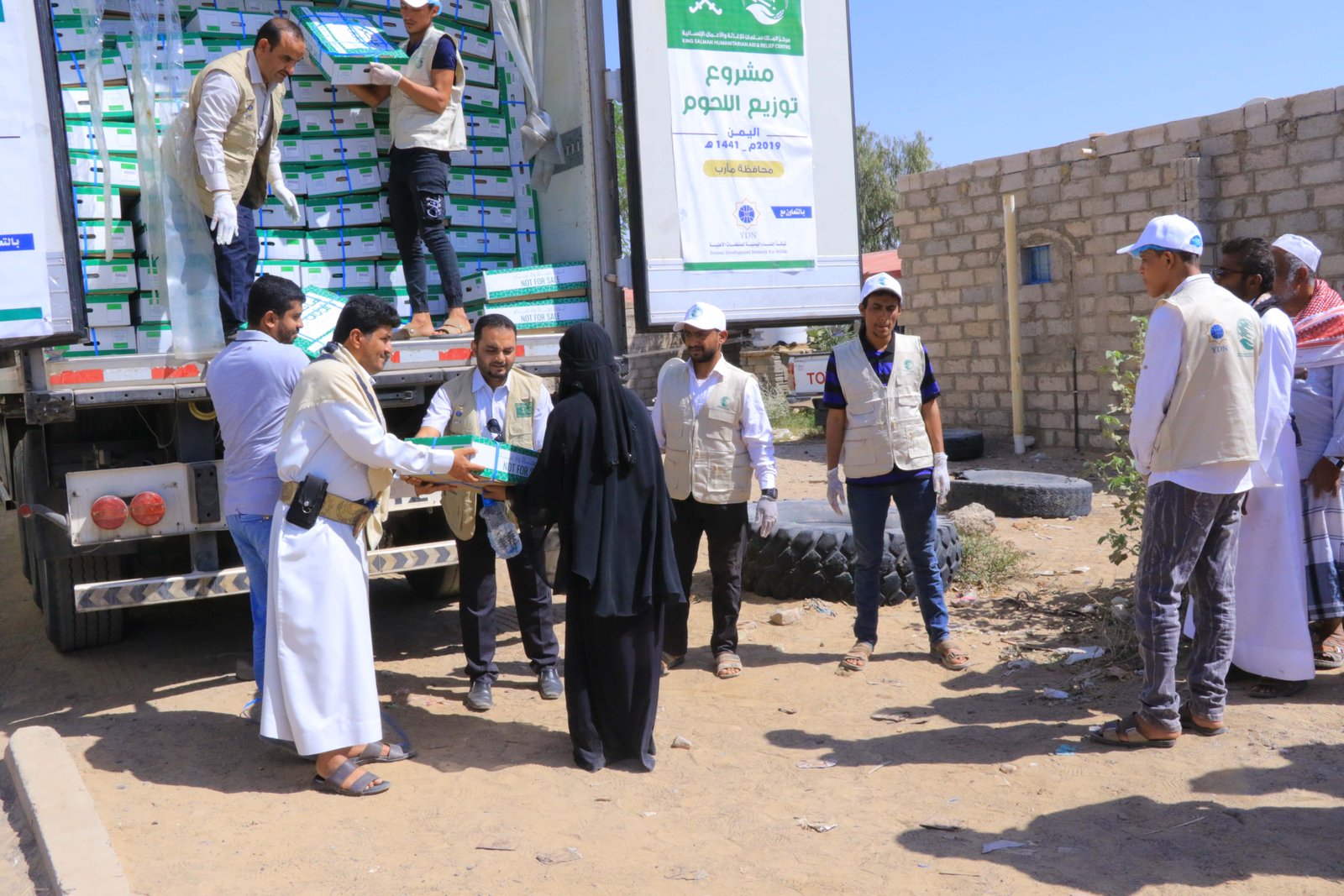 صورة من المعرض 8