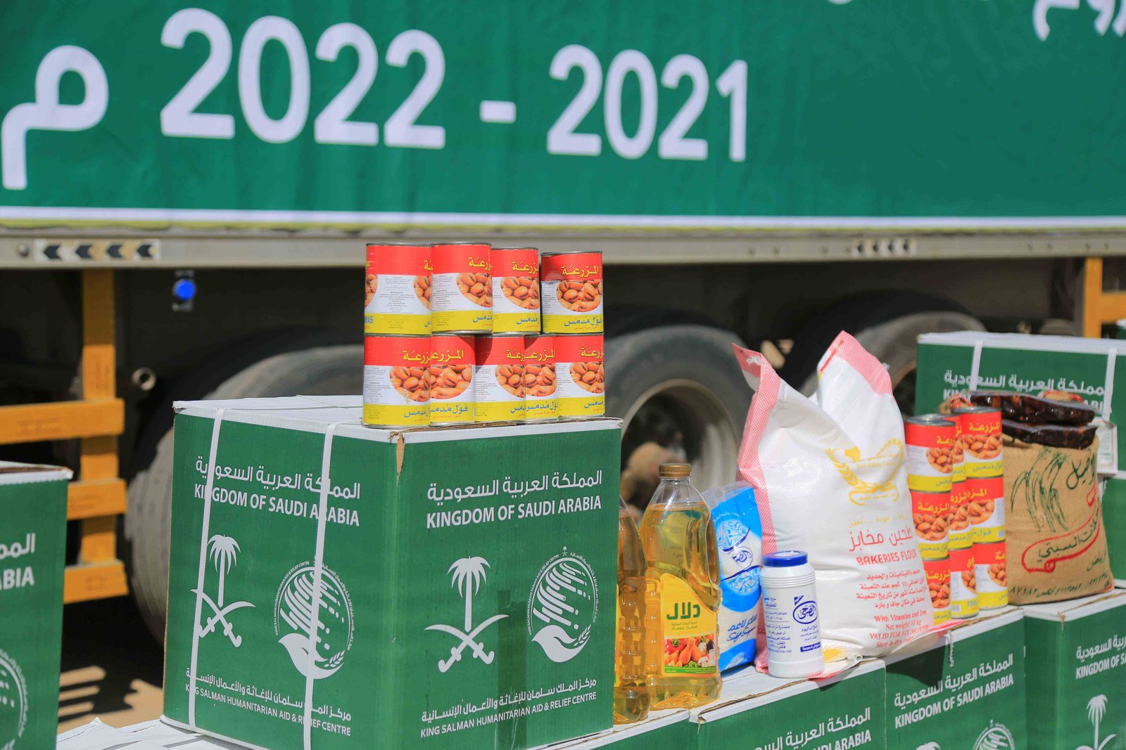 صورة من المعرض 11