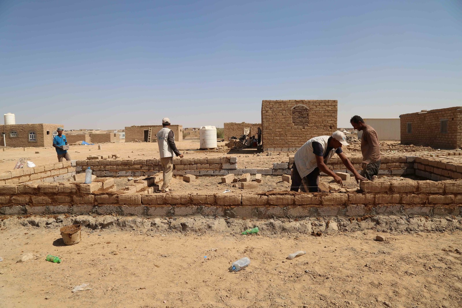 صورة من المعرض 3