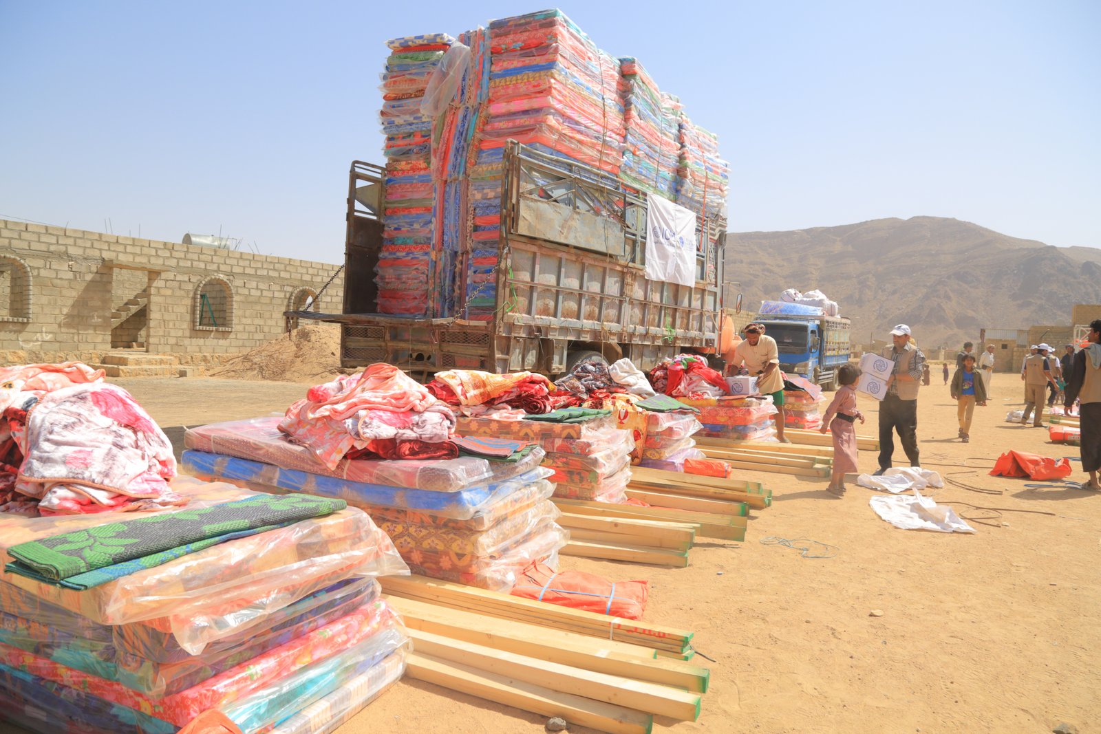 صورة من المعرض 13