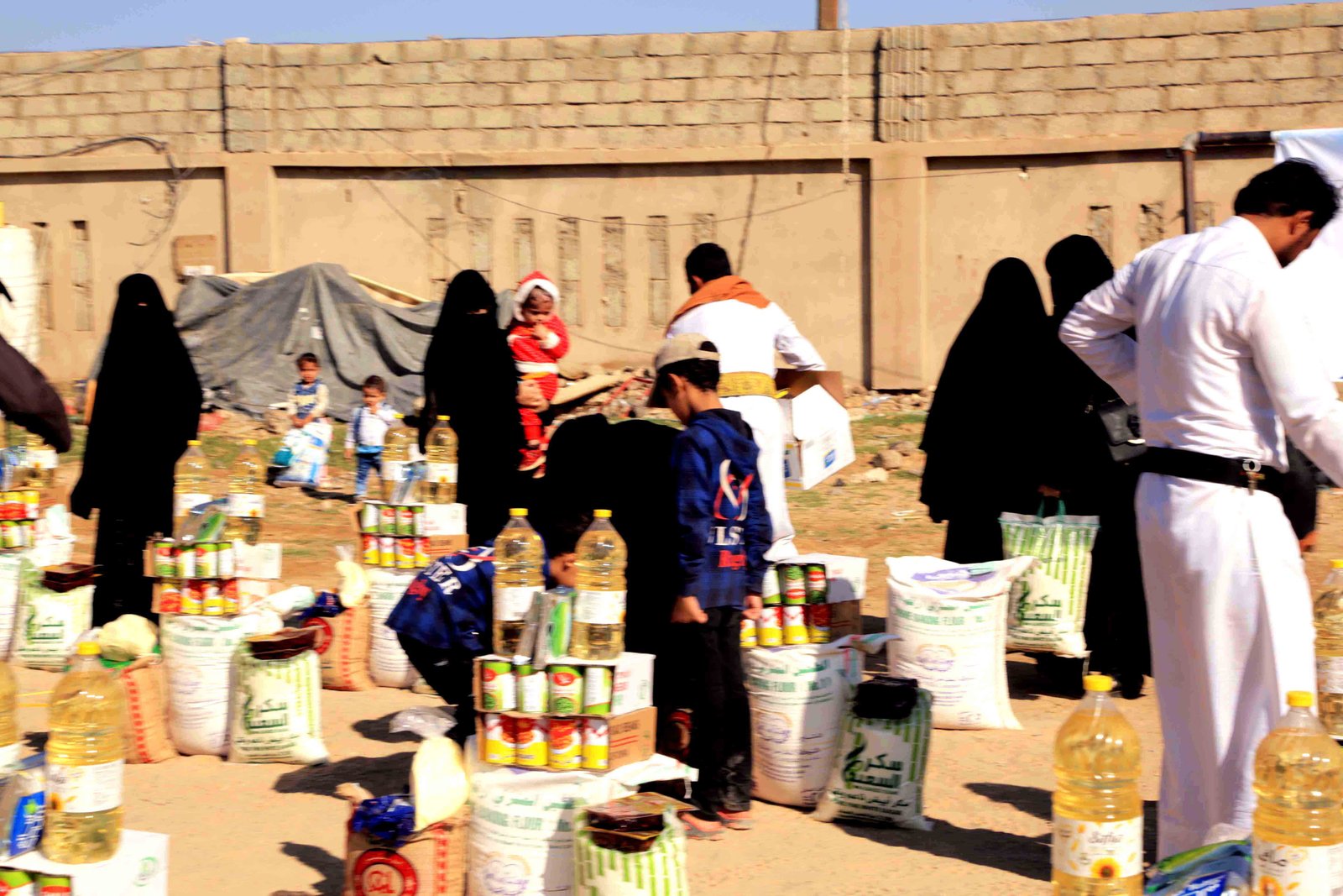 صورة من المعرض 3