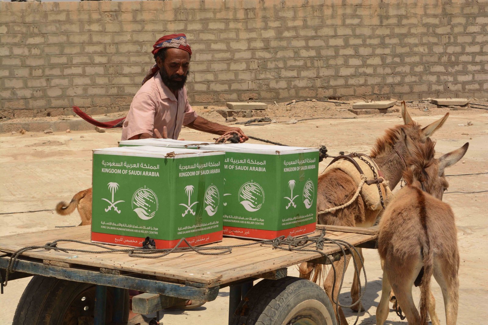 صورة من المعرض 6