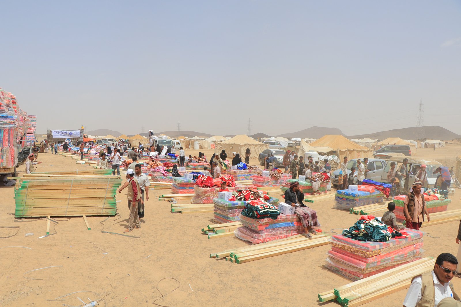 صورة من المعرض 11