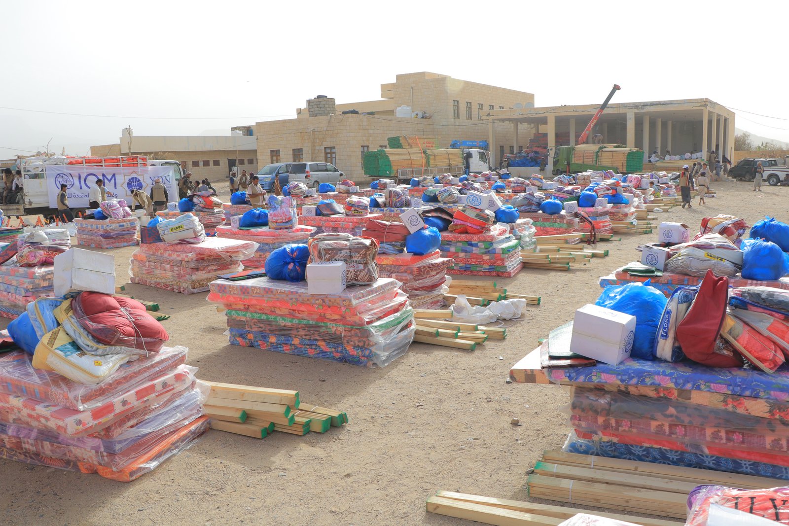 صورة من المعرض 8