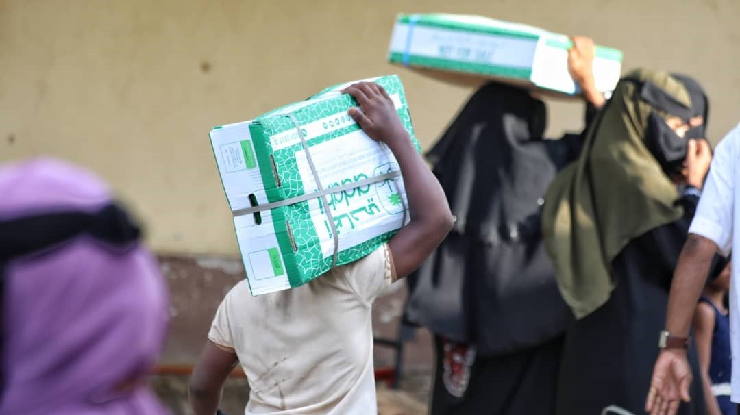 صورة من المعرض 2